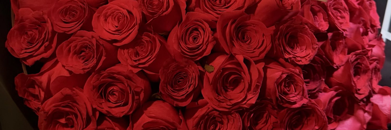 dvelaaa's profile banner image