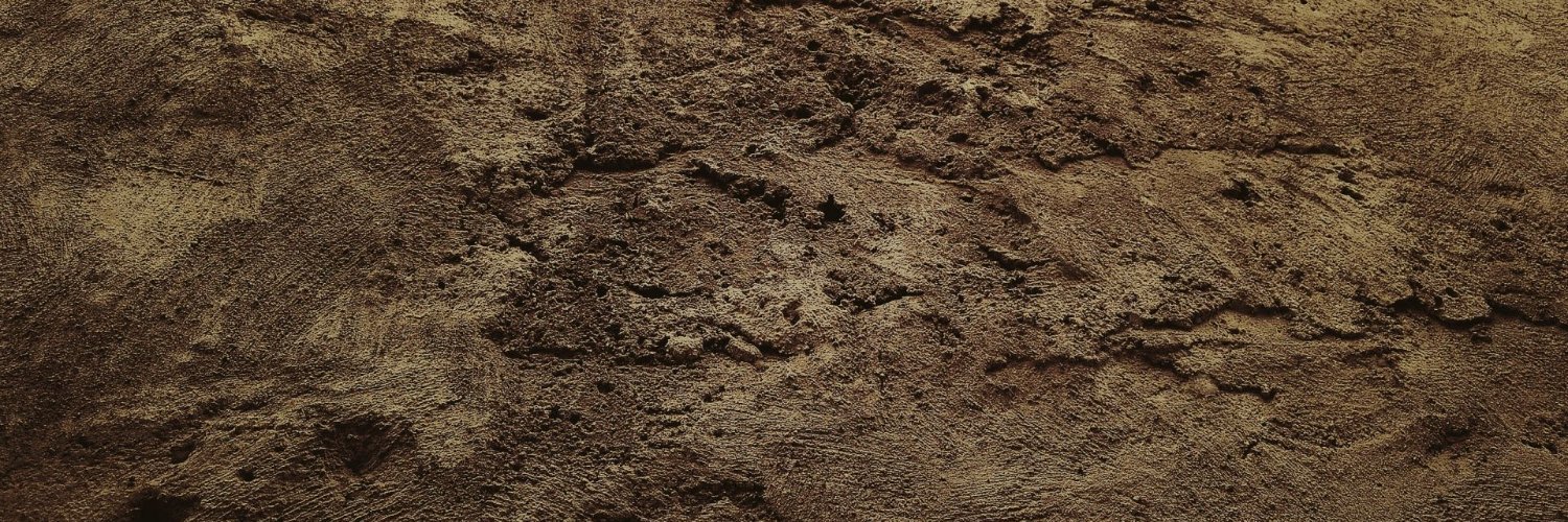 AmberThorn_'s profile banner image