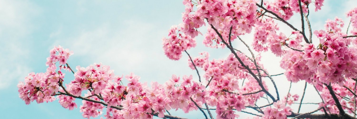 FukayamaSensei's profile banner image