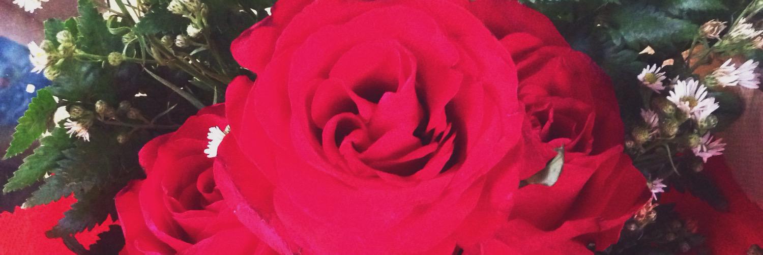 cutmee's profile banner image