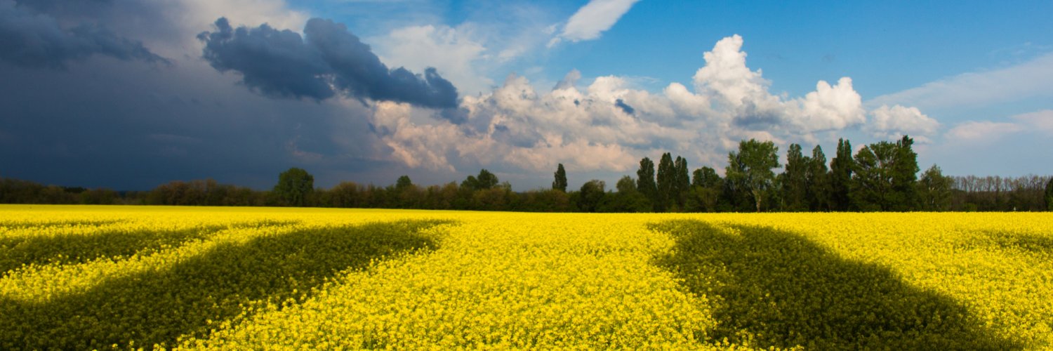 Only Thїng Matters 🇺🇦 banner