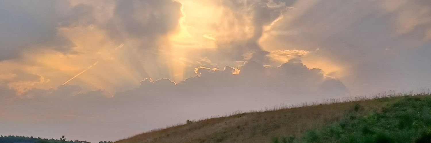 lacopaoe's profile banner image