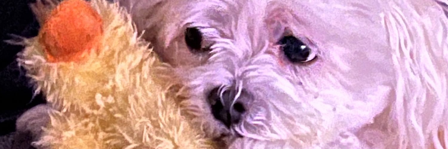 EscheteA's profile banner image