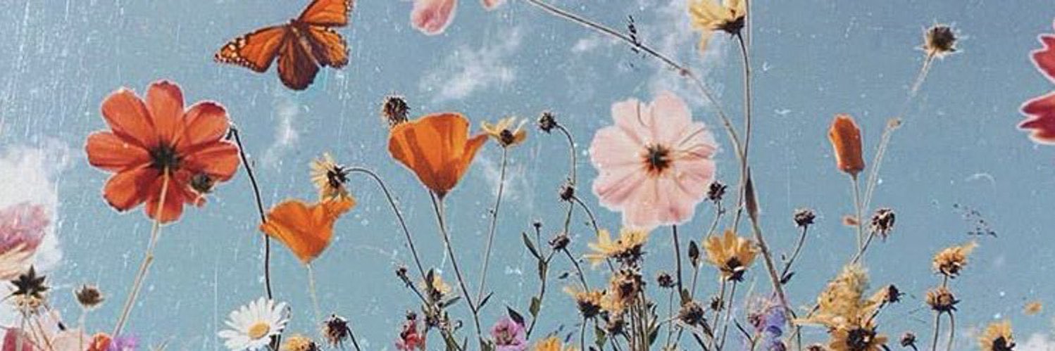 dandidanielle's profile banner image
