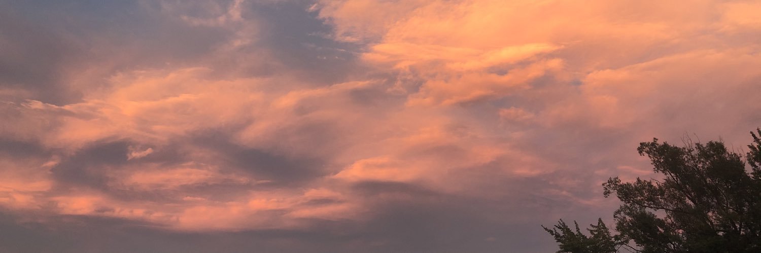 Niccooolee's profile banner image
