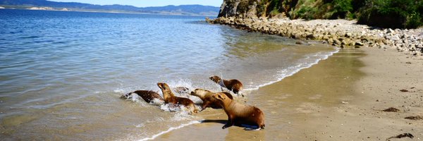 The Marine Mammal Center