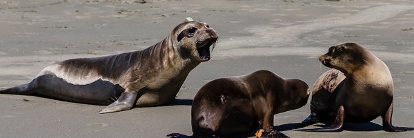 TMMC Profile Banner