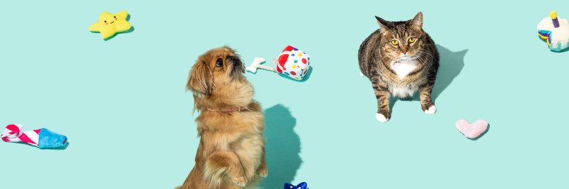 PetsBest's profile banner image