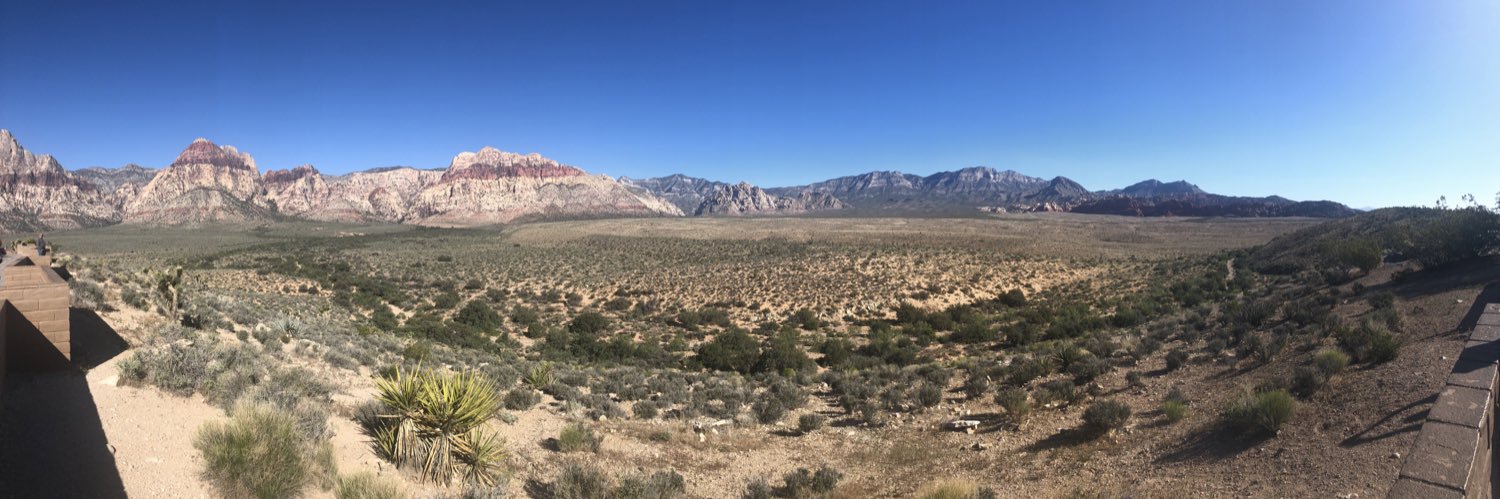 Courtney Kaiser banner