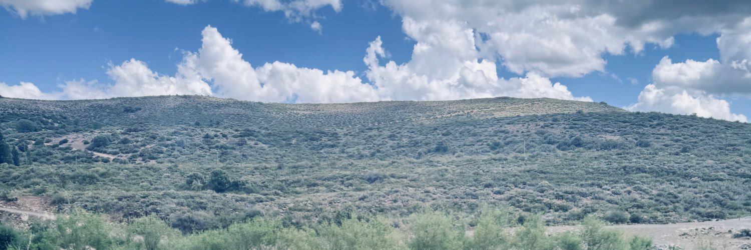 dannaperezdan's profile banner image