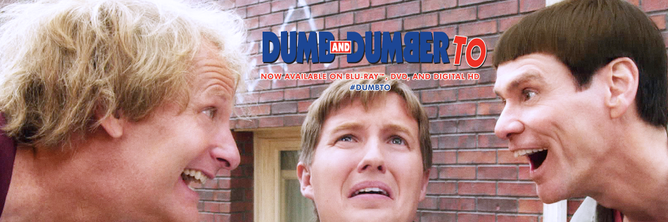 #DumbTo banner