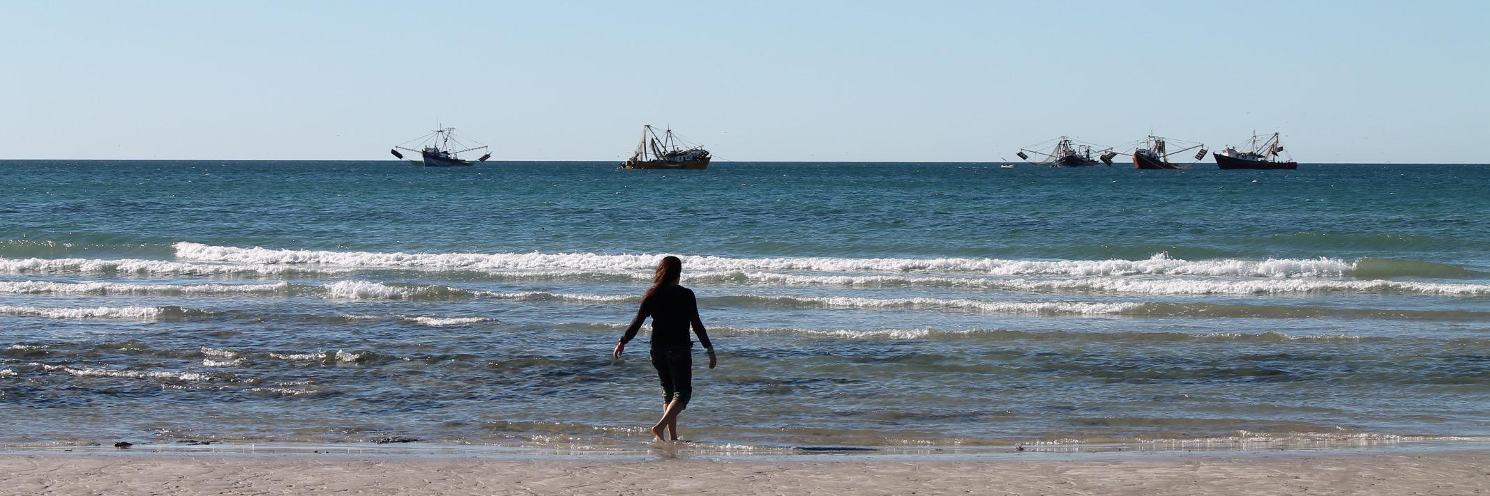 Patrick H. Andrews banner