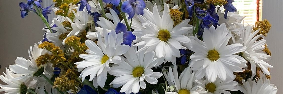 DebbieBarth's profile banner image