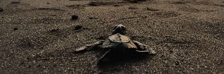 JerGonzalez1's profile banner image