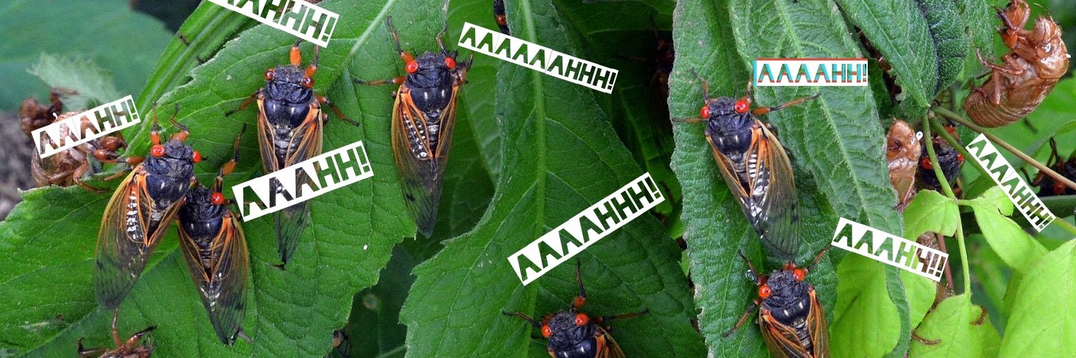 Comrade Bumblejack 🌽🏴 banner