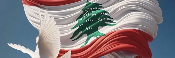 ptfng Profile Banner