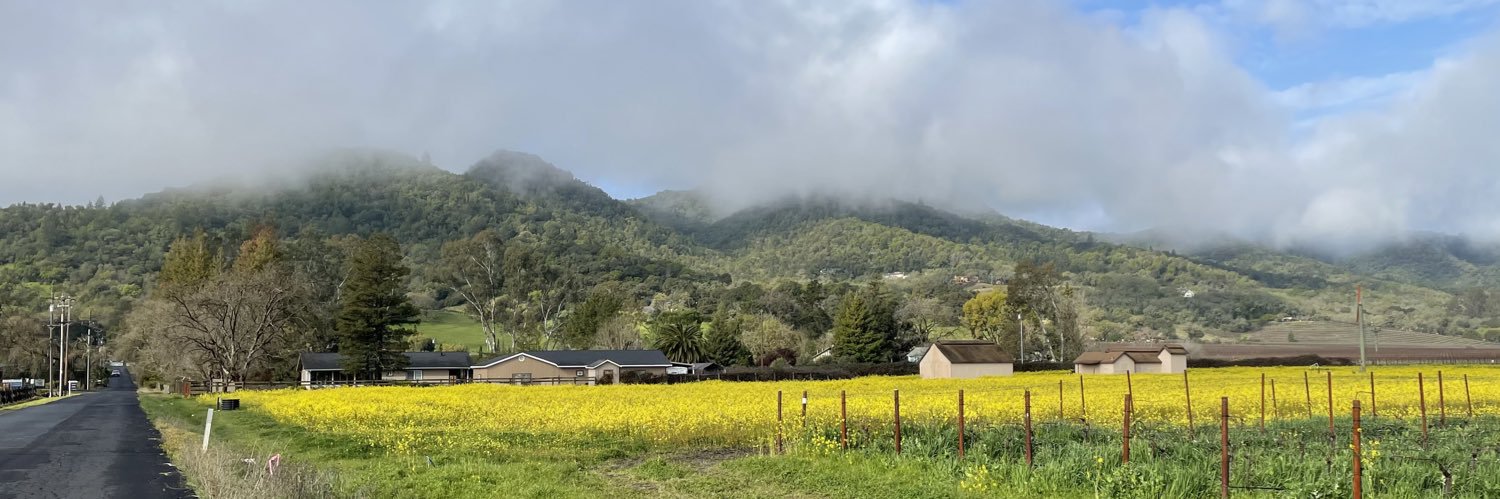 Ward Kadel - @drXeNo banner