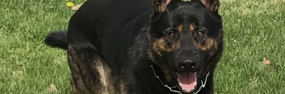 madmaxyv's profile banner image