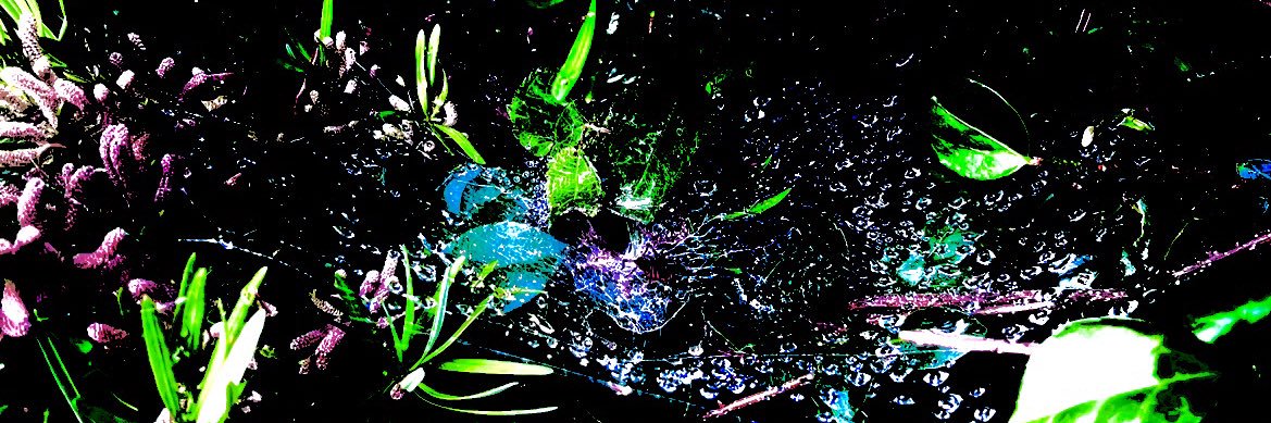bex_yusuke's profile banner image