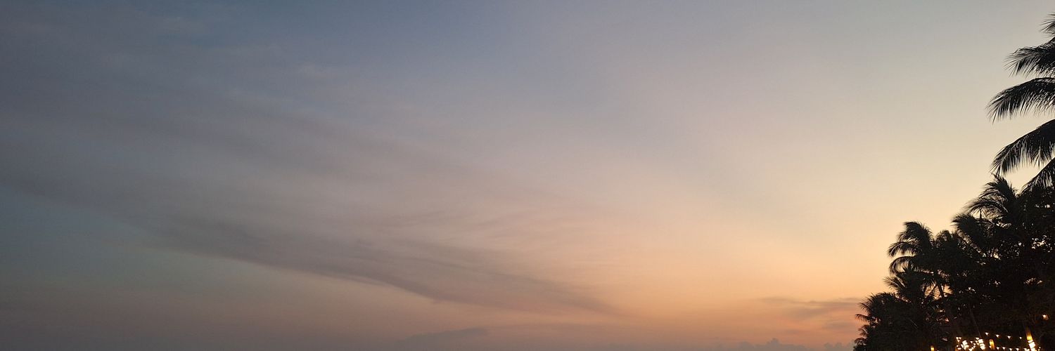 laudiiya's profile banner image