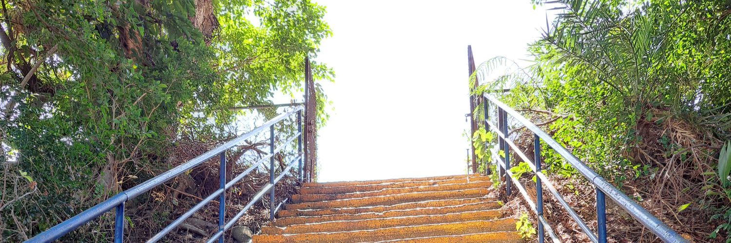 豆豆不發芽 banner