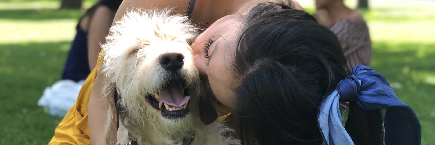 DonFlaaaco's profile banner image