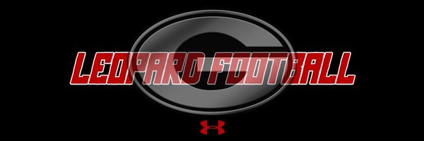 LeopardFB_940 Profile Banner