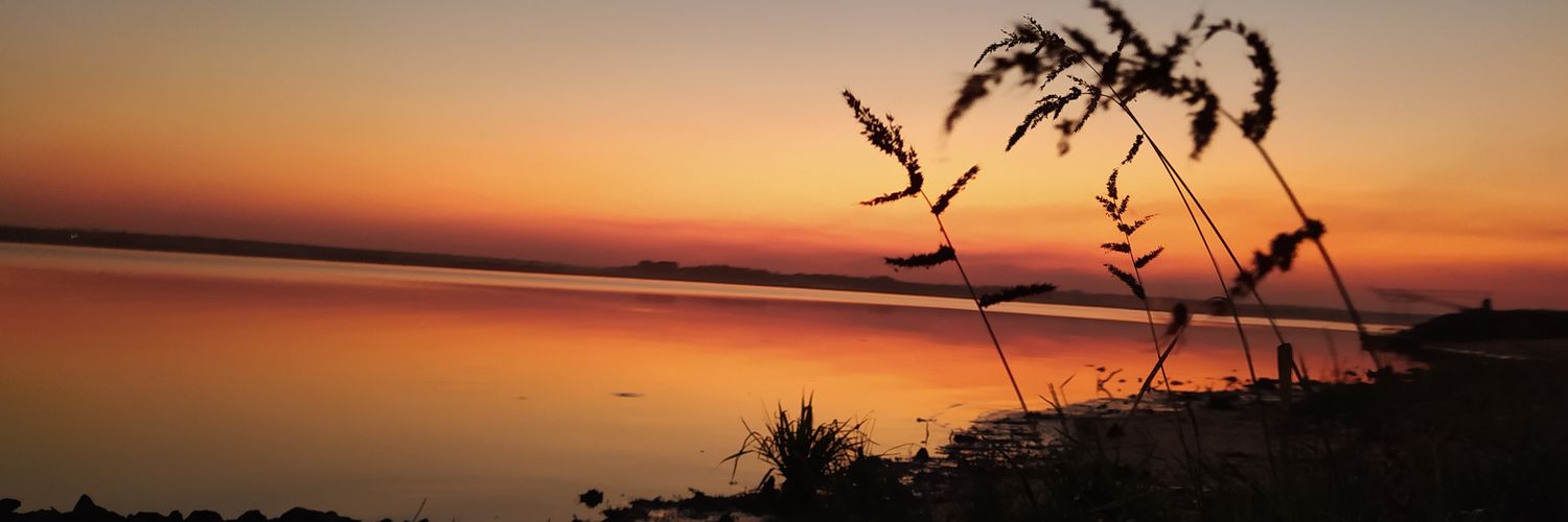 Jenniiiloopez's profile banner image