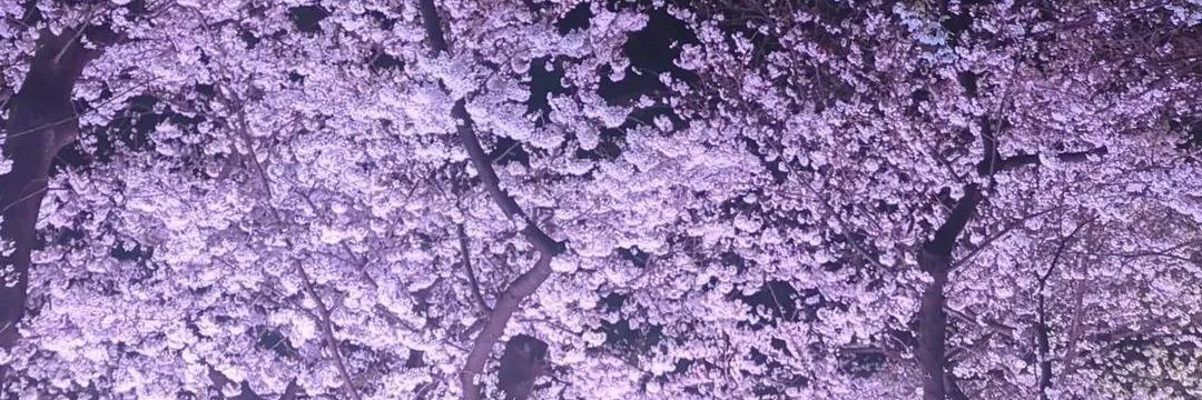 ts_sth_'s profile banner image