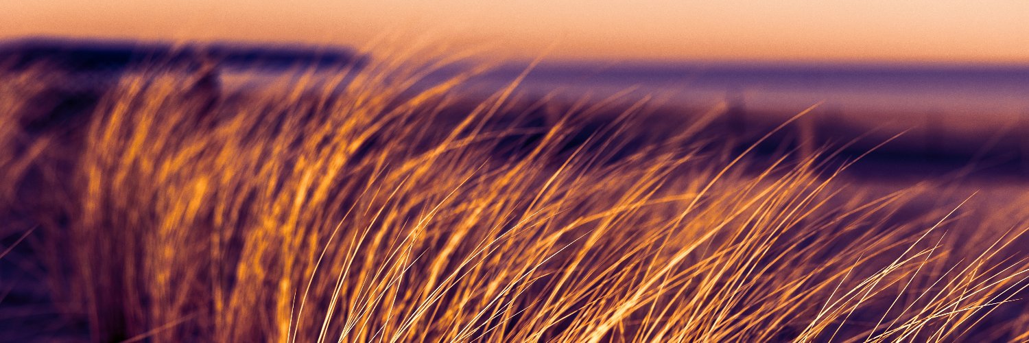 Rust Meetup Rostock banner