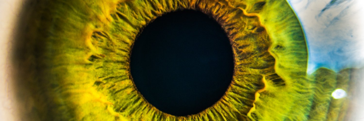 GBerrish's profile banner image