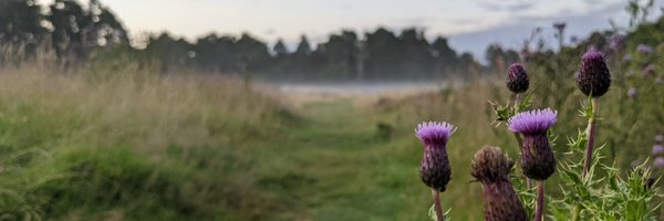 CorrEilidh Profile Banner