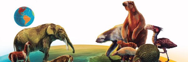 TEDwonk Profile Banner