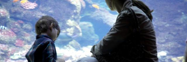 Emily Snyder, Crime Boss banner