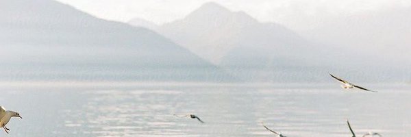 lusis Profile Banner