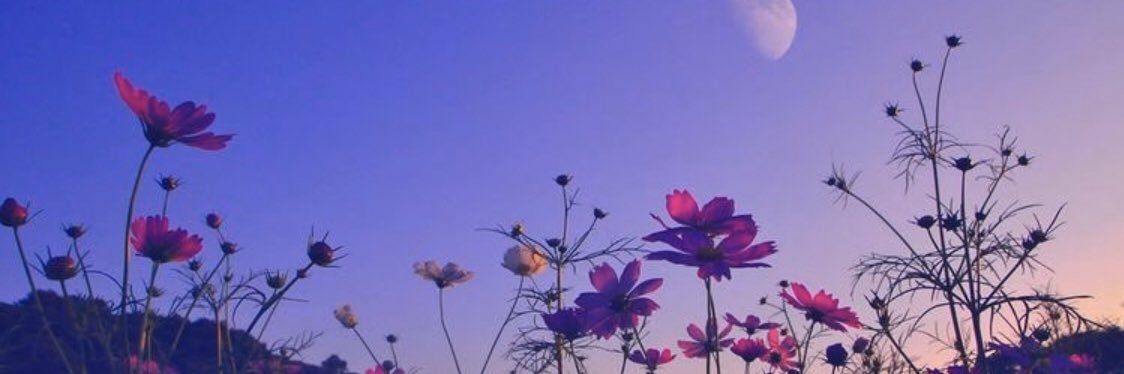 S_ALkhalaf1's profile banner image