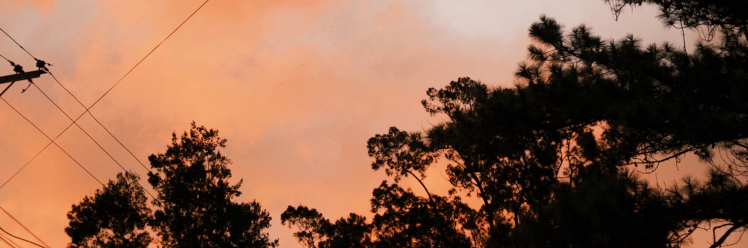 m开tthew ꕤ｡˚⋆ banner