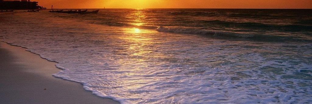 DLongISMS's profile banner image