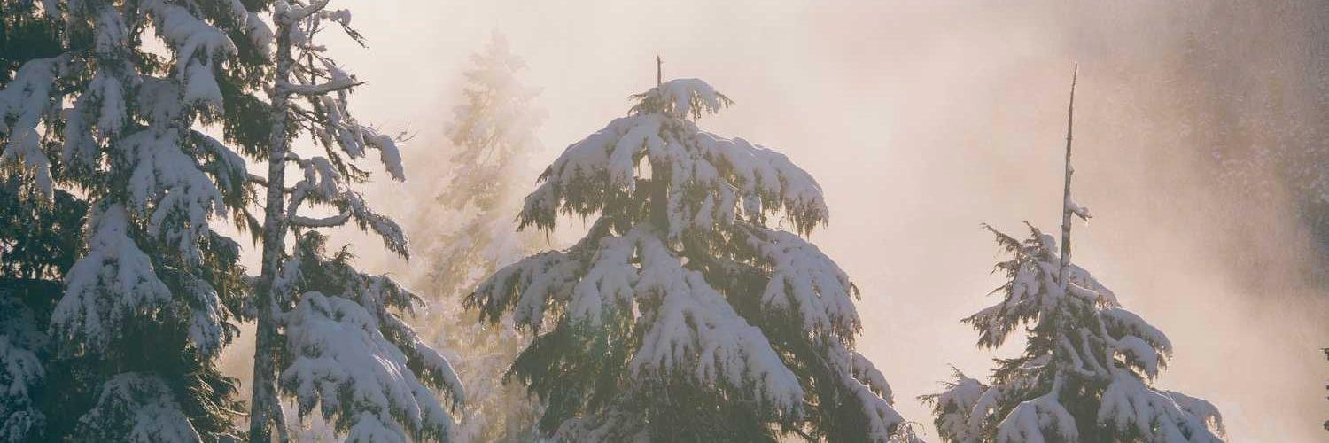 pithikoye366's profile banner image