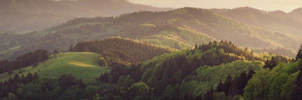 kierwhite Profile Banner