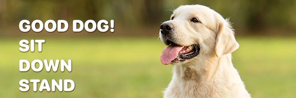 WoofzApp Profile Banner