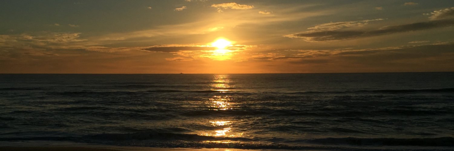 BRETT MITCHELL banner