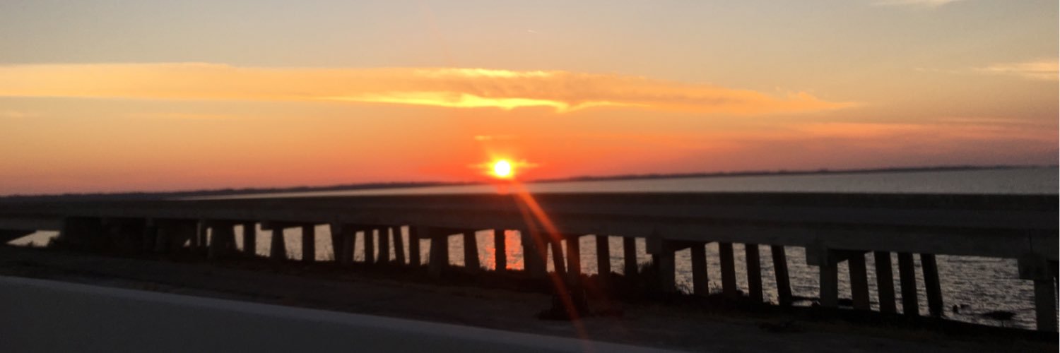PaishaC's profile banner image
