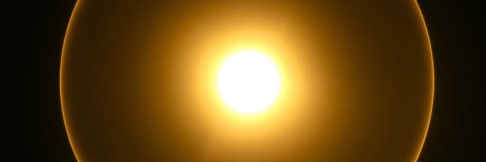 Max Devving banner