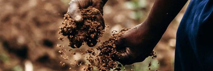 Iryoyavuze Afazari banner