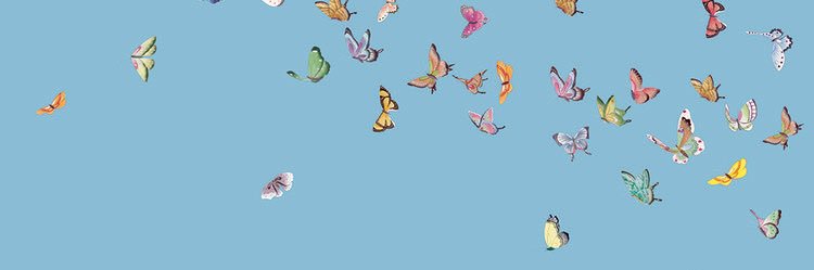 MarissaIden's profile banner image