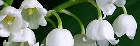 tilitay93's profile banner image