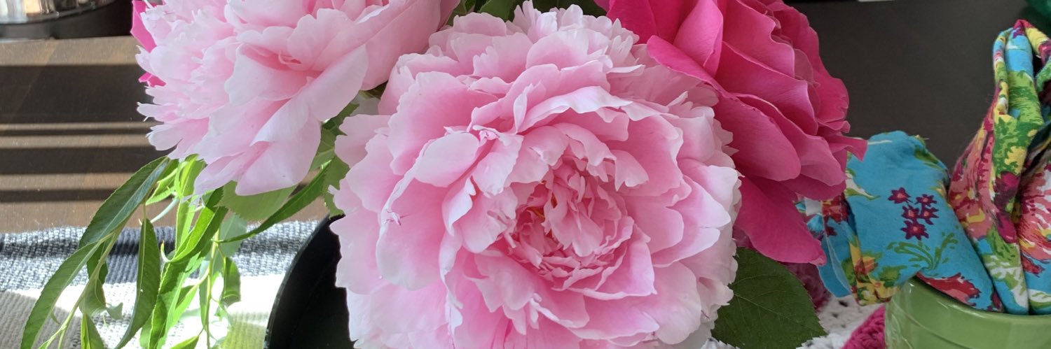 micquelle's profile banner image