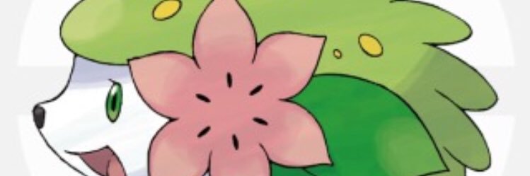 hagekoko's profile banner image