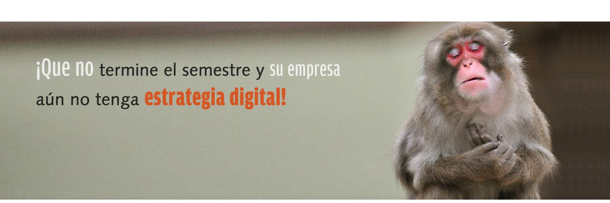 geosdigital's profile banner image
